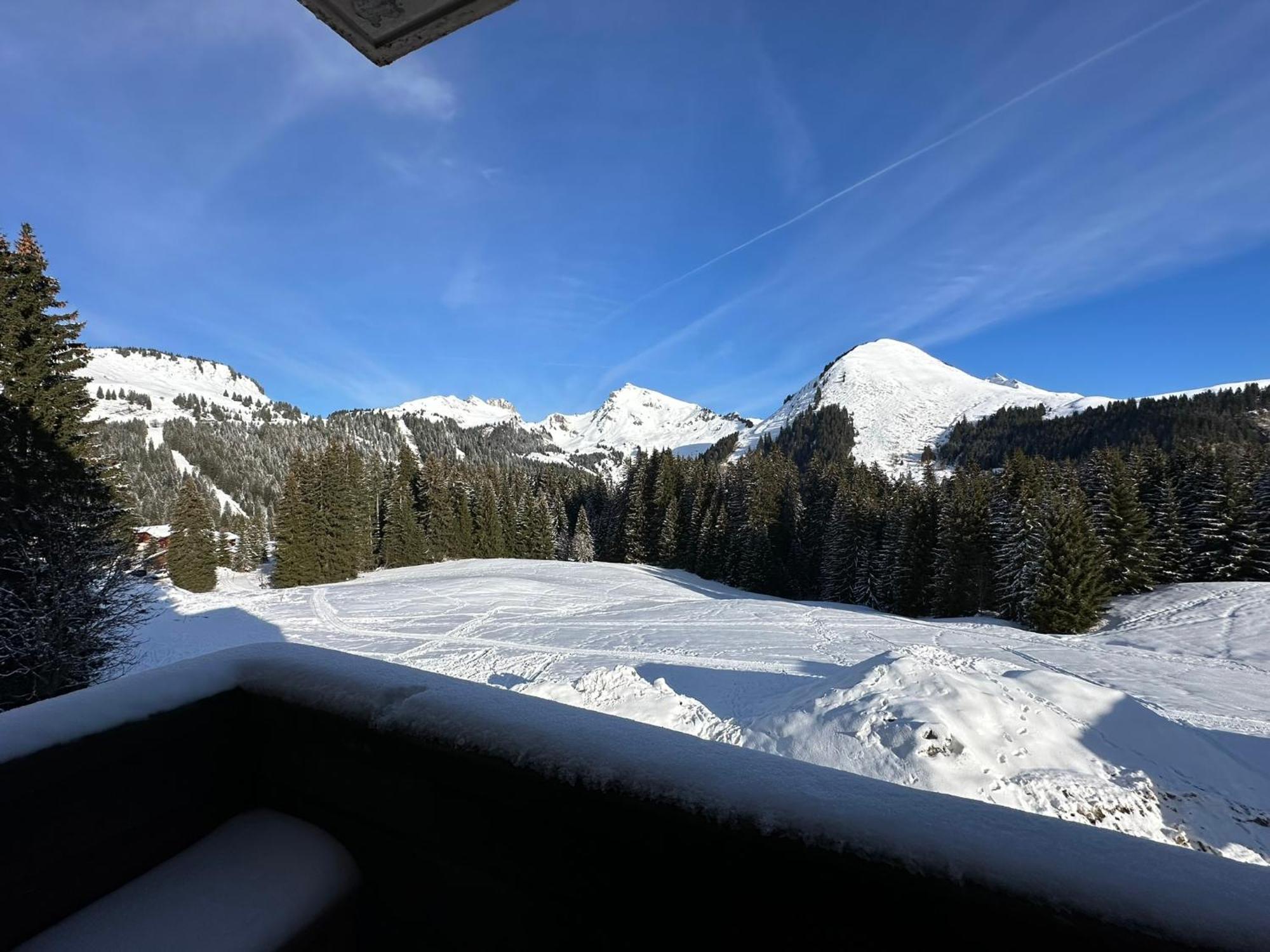 Studio Au Coeur Du Praz-De-Lys - Les Pralyssimes لو براز دي ليس المظهر الخارجي الصورة