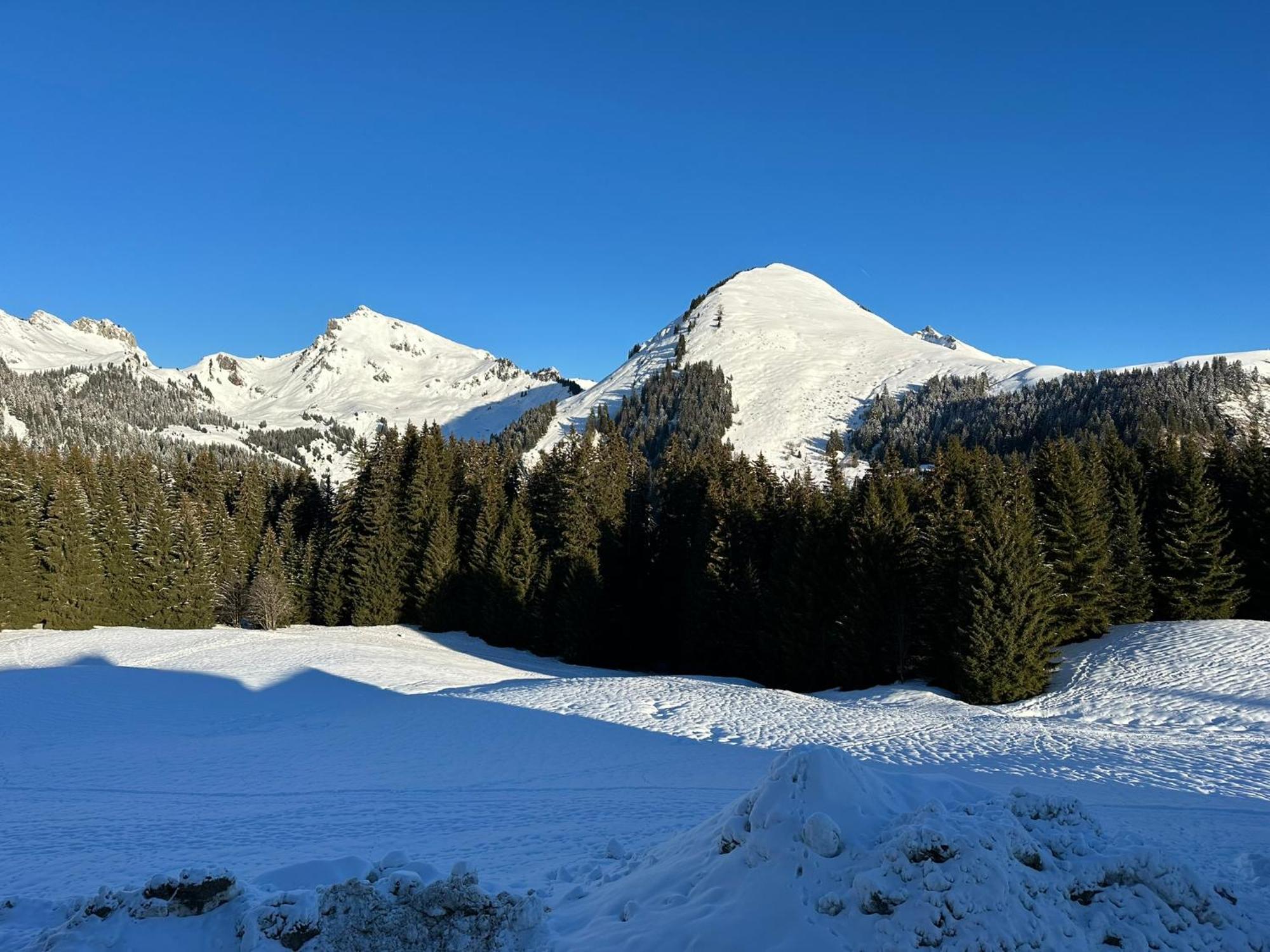 Studio Au Coeur Du Praz-De-Lys - Les Pralyssimes لو براز دي ليس المظهر الخارجي الصورة