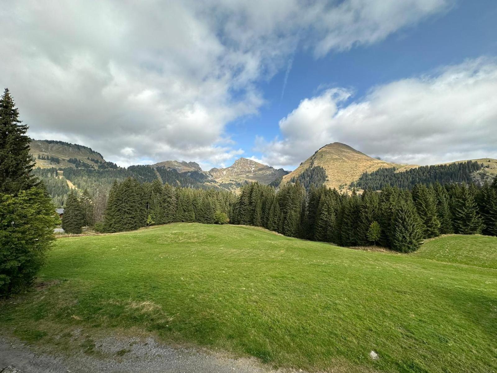 Studio Au Coeur Du Praz-De-Lys - Les Pralyssimes لو براز دي ليس المظهر الخارجي الصورة