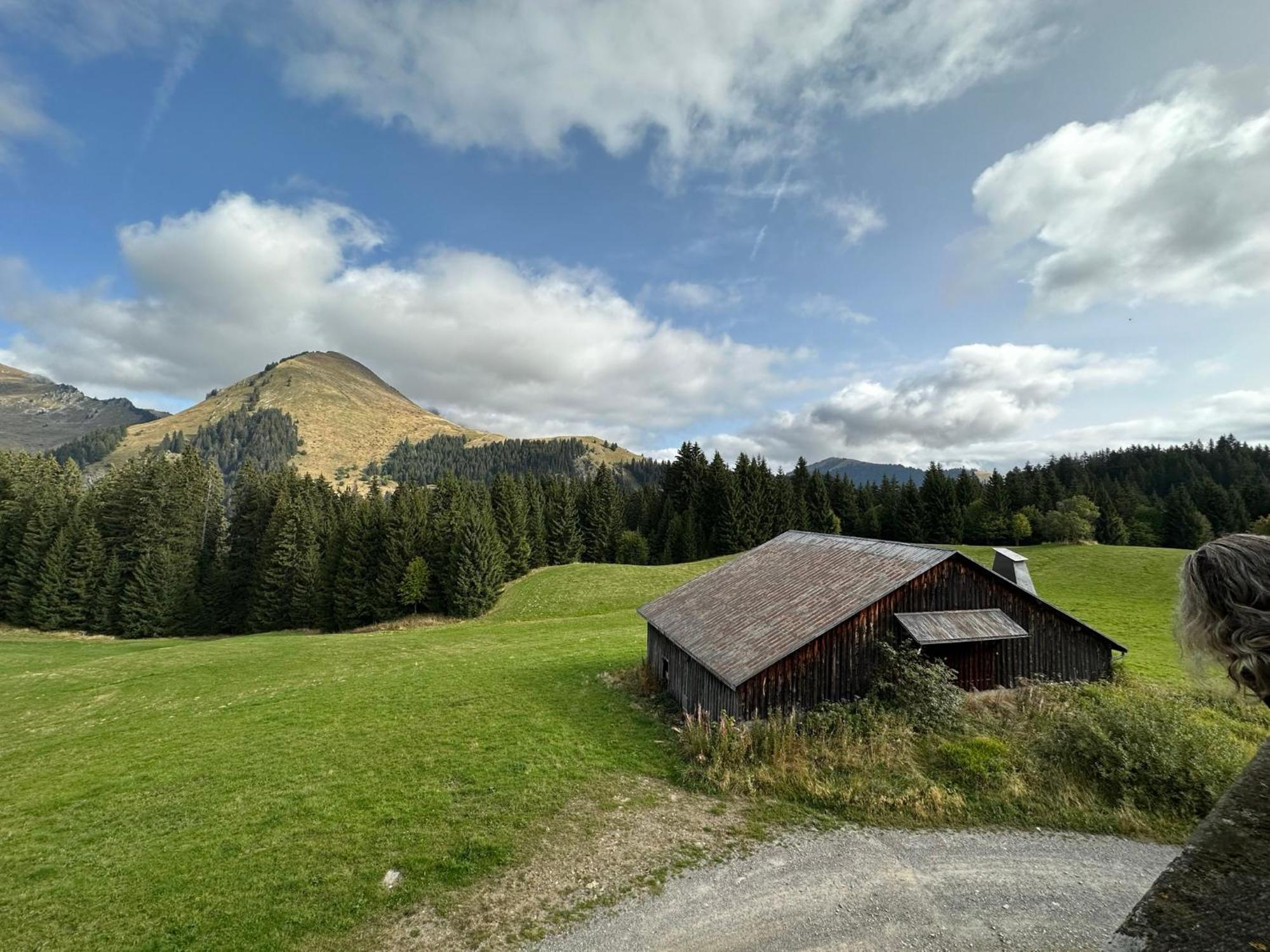 Studio Au Coeur Du Praz-De-Lys - Les Pralyssimes لو براز دي ليس المظهر الخارجي الصورة