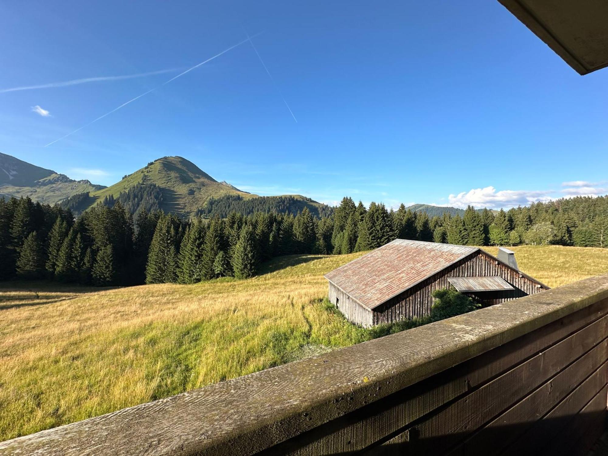 Studio Au Coeur Du Praz-De-Lys - Les Pralyssimes لو براز دي ليس المظهر الخارجي الصورة